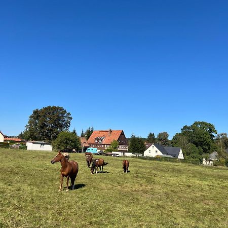 Ferienwohnung Kottmar Walddorf  Zewnętrze zdjęcie