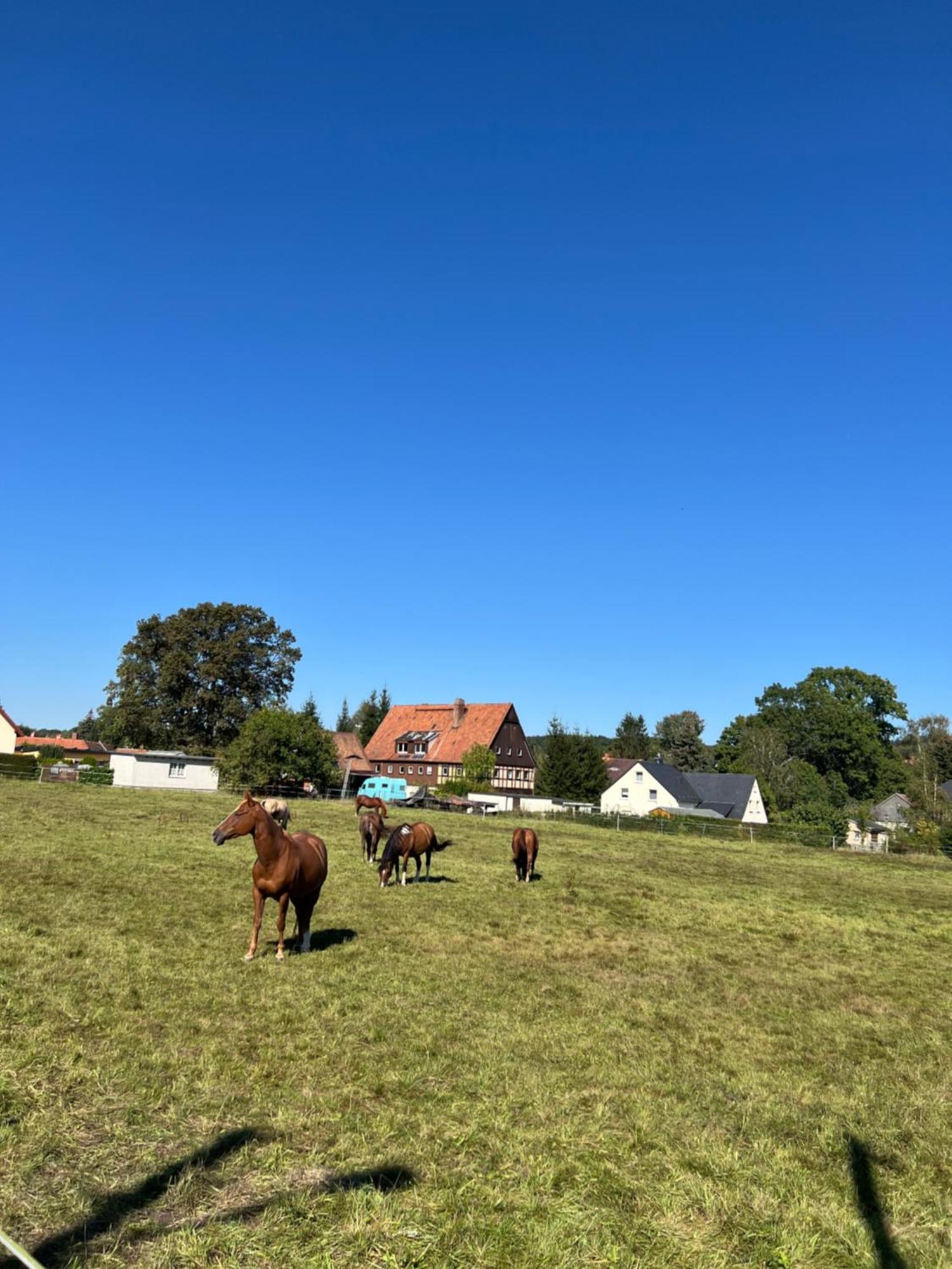Ferienwohnung Kottmar Walddorf  Zewnętrze zdjęcie